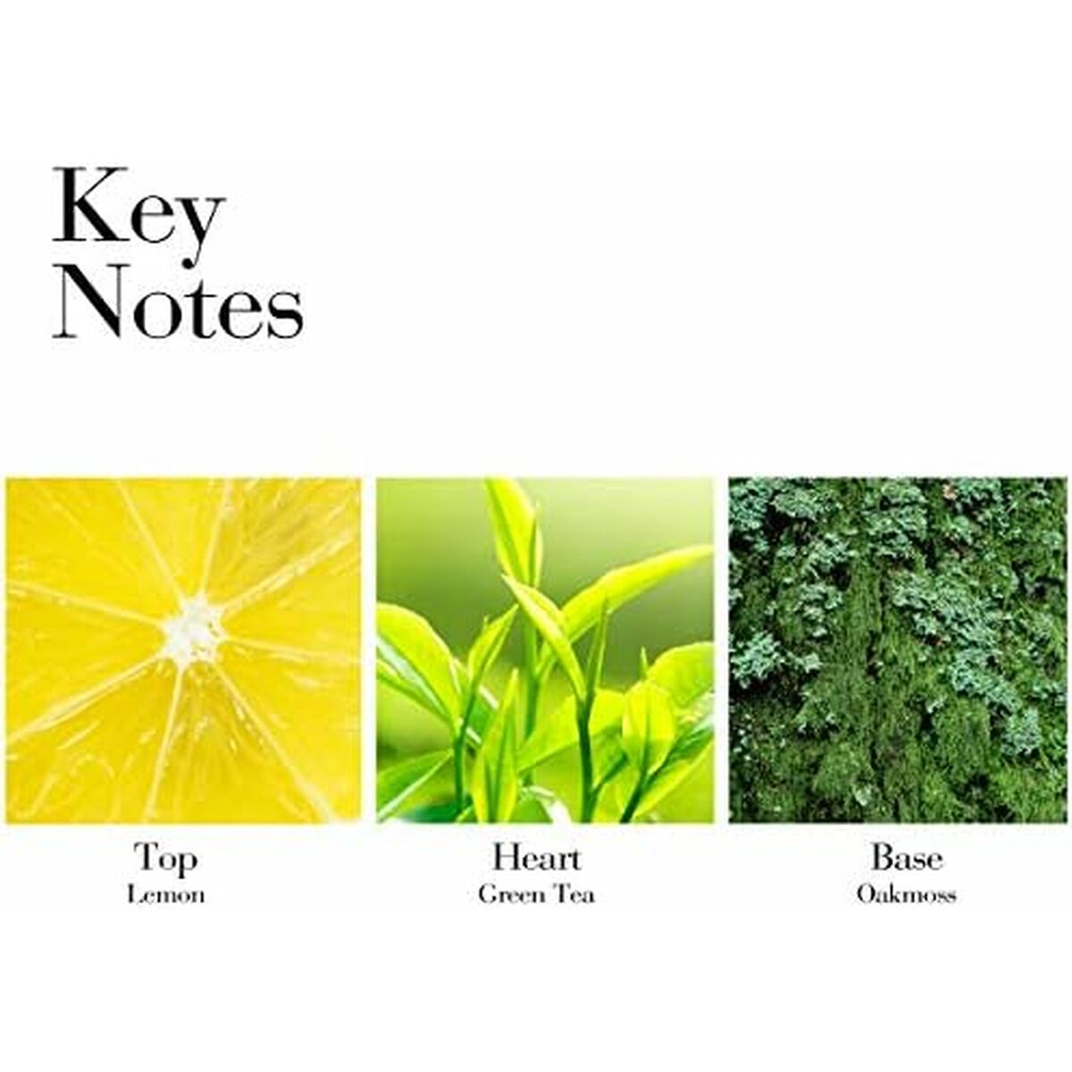 V3H9DE0908A7C5ECF53A8742E04183EF8D3R5163400P2