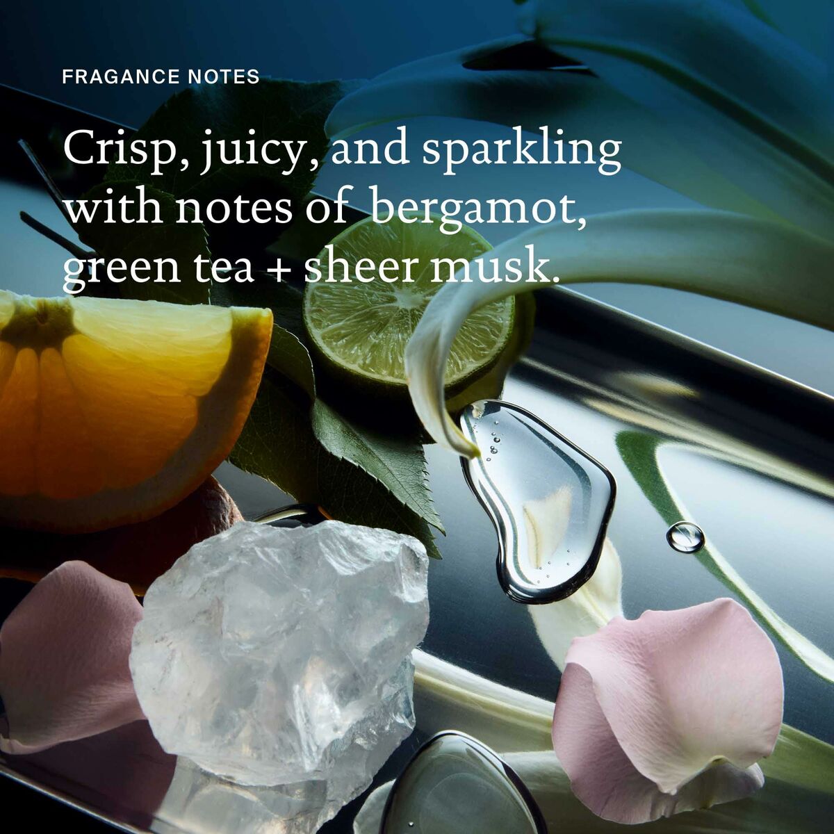 V3HAB4EA11C9130A825A09B9578F6096AB6R6241063P8